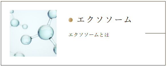 スクリーンショット 2025-07-14 105802