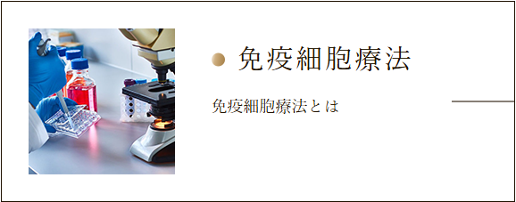 スクリーンショット 2025-07-14 105548