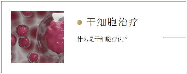 スクリーンショット 2025-07-23 185840