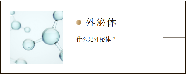 スクリーンショット 2025-07-23 190121