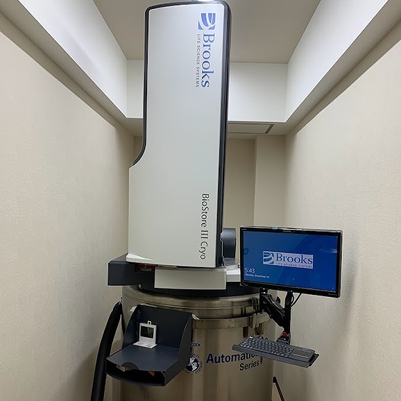 imgi_11_6c1c5023213d9e8e7ed9f993fa4a62c2