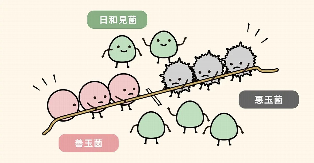 imgi_19_various_inspections_img001