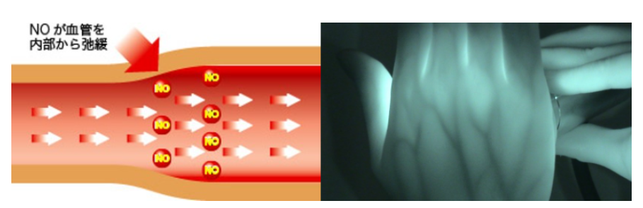 imgi_4_18f146cfd36aa0fdb3dfc9509d02c120