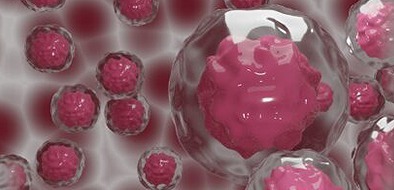 imgi_4_fbec0fd35736211173432a8f12d4828d