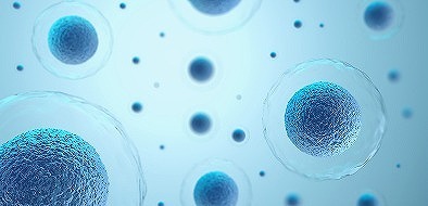 imgi_4_fbec0fd35736211173432a8f12d4828d