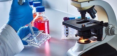 imgi_4_fbec0fd35736211173432a8f12d4828d