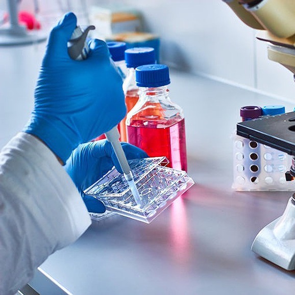 imgi_7_356316970b4be5f9a0a9b79525f6e991